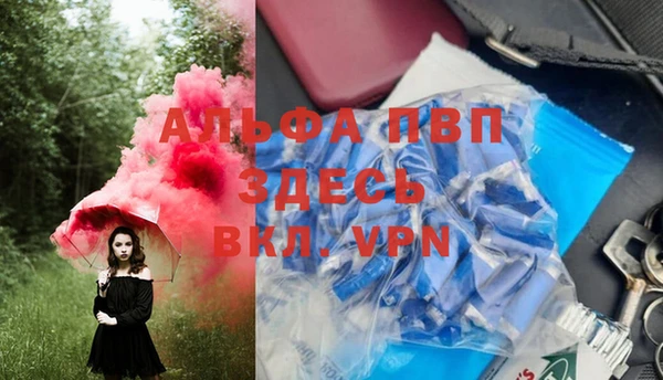 молекула духа Алексеевка