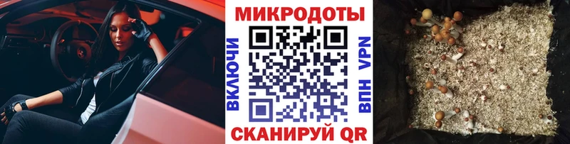 Псилоцибиновые грибы мухоморы  Йошкар-Ола 